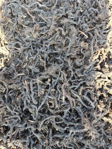 Brown Dried Nagarmotha Roots, For Healthy Growth Of Hair, Packaging Type : Loose