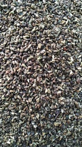 Brown Dry Shivlingi Seeds, Packaging Type : Loose