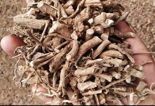 Brown Punarnava Roots, For Ayurvedic Medicine, Packaging Size : 10-20 Kg