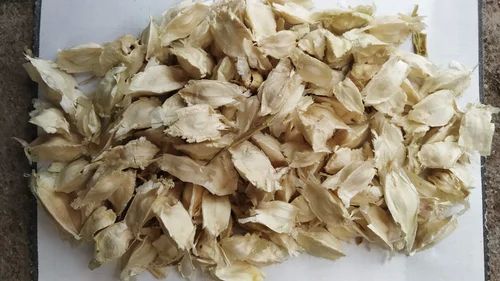 White Moringa Seeds, Packaging Type : Loose