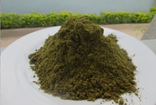 Soursop Tea Powder, Shelf Life : 3 Months