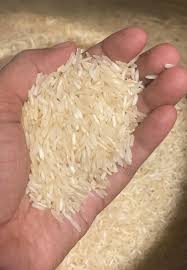 1Kg Fully Polished Soft Common Non Basmati Rice, For Cooking, Food, Human Consumption, Certification : FSSAI Certified