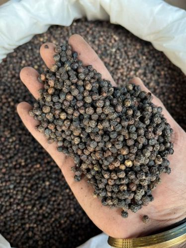 Organic Black Pepper, Packaging Size : 200gm, 250gm, 500gm, 50gm