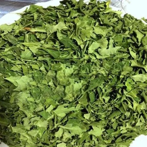 Natural Green Dried Moringa Leaves, For Medicine, Purity : 100%