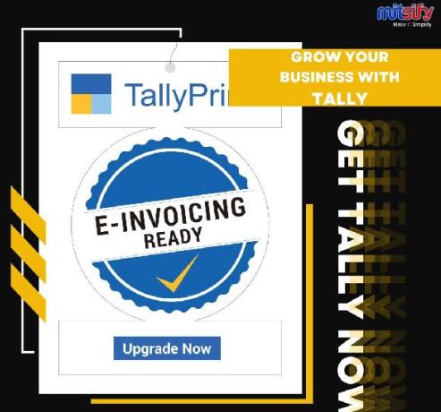 Tally Software Sales And Service