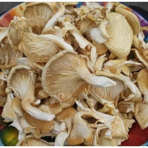 Organic Dried Mushroom, Packaging Size : 250 Gm