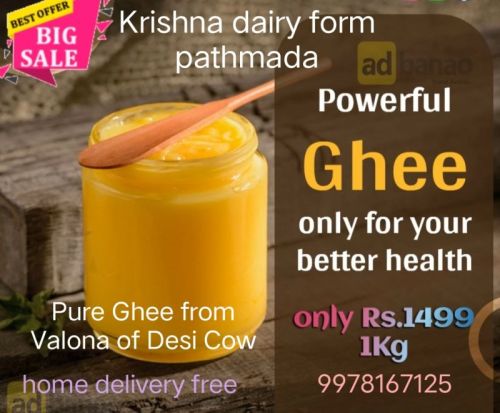 Desi Ghee Cow