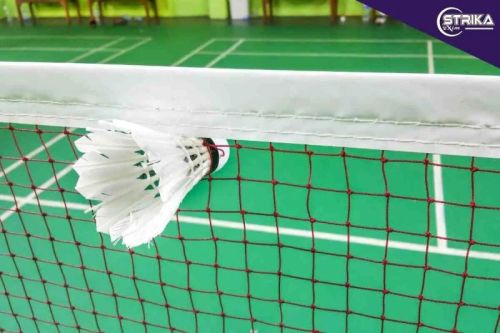 Strika Nylon Badminton Nets, Size : Standard