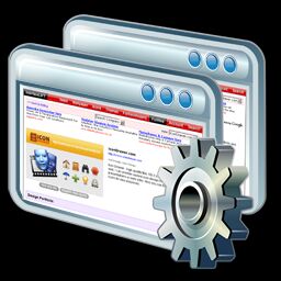 Software Customization Services