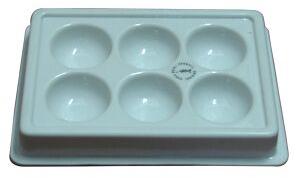 Thermoformed Trays