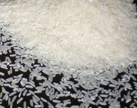 Jasmine rice