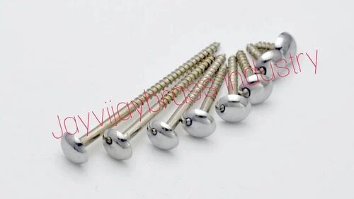 Brass Mirror Screw With Cap