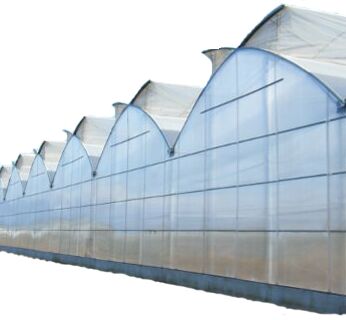 Greenhouse Film