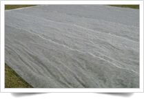 Non Woven UV Treated Ground Cover