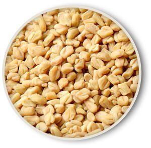 Fenugreek Seeds, Color : Caramel To Light Yellow