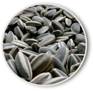 Sunflower Seeds