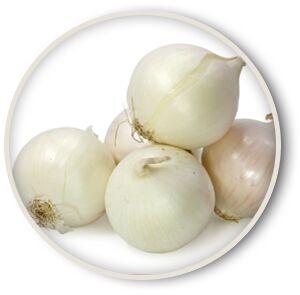 White Onion