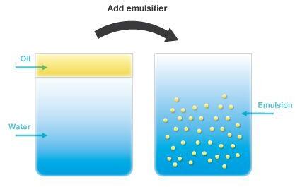 Emulsifier, Vegetable Oil, Surfactants