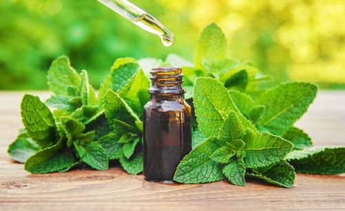 Peppermint Oil, Form : Liquid