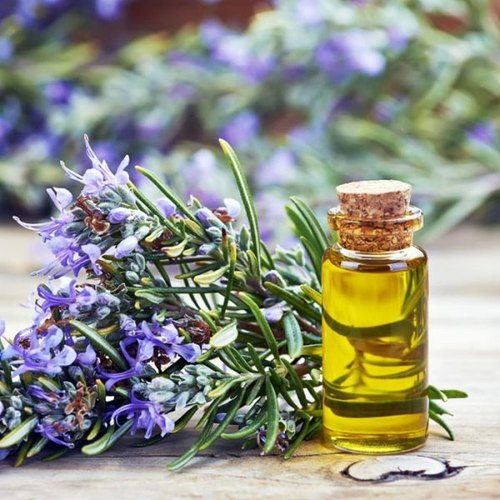 Liquid Rosemary Oil, For Herbal, Botanical Name : Rosmarinus Officinalis