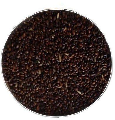 Common Sea Buckthorn Seeds, Packaging Type : Bag