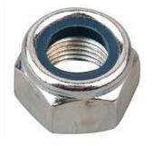 SS Nylock Nut