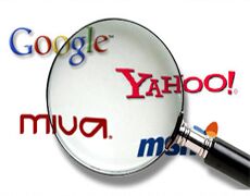 Search engine optimization services