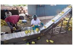 Macro Bucket Conveyors, Capacity : Upto 5 Kg