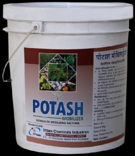 Potash Mobilizing Bacteria