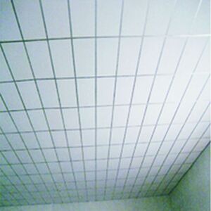 False ceiling