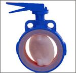 Line Butterfly Valve