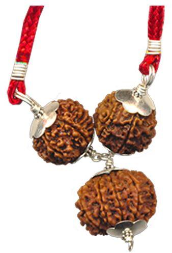 Career Growth Rudraksha