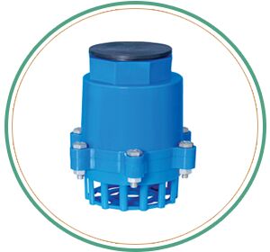 Nut Bolt Foot Valve Washer