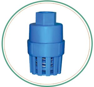 Small Spring Foot Valve