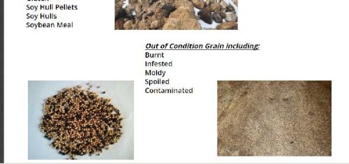 Damaged And Salvage Grains