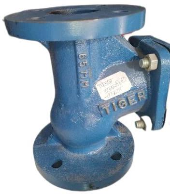 Cast Iron Check Valve, Valve Size : 65 Mm