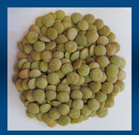 Green Lentils