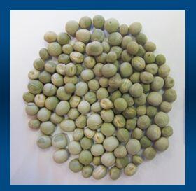 Green peas, Shelf Life : 10 Days