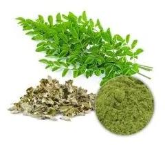 Moringa Leaf Extract, Packaging Size : 25 Kg