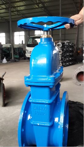 Resilient Seated Gate Valve