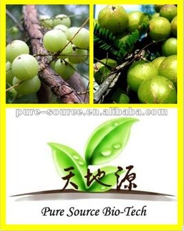 Pure source Emblic Leafflower Fruit Extract