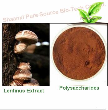 Shiitake Mushroom Extract, Brand Name : Pure source