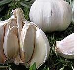 Allium Sativum, Note : Price Plus GST