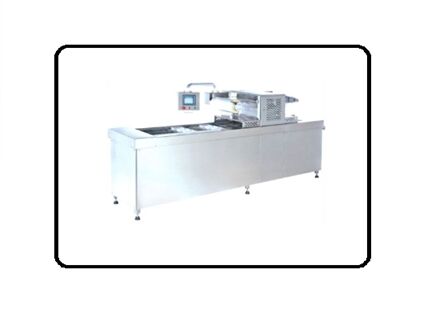 Vacuum Packaging Machines