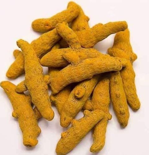 Organic Turmeric Finger, For Cooking, Spices, Packaging Size : 25 Kg