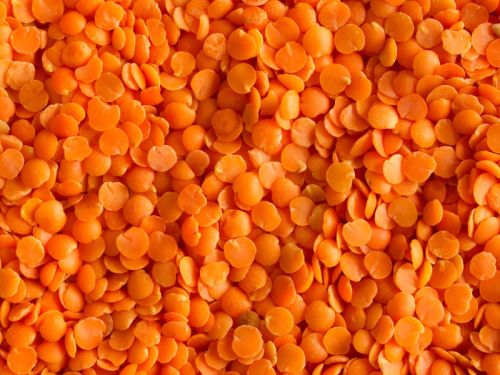 Natural Indian Split Red Lentils, For Cooking, Packaging Type : Bag