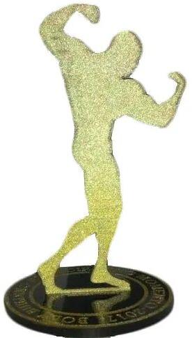 Acrylic  Wrestling Memento Trophy