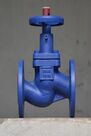 Brass Globe Valves