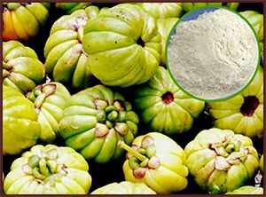 Garcinia Cambogia Extract, Color : White