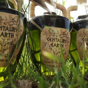 Extra Premium Olive Oil